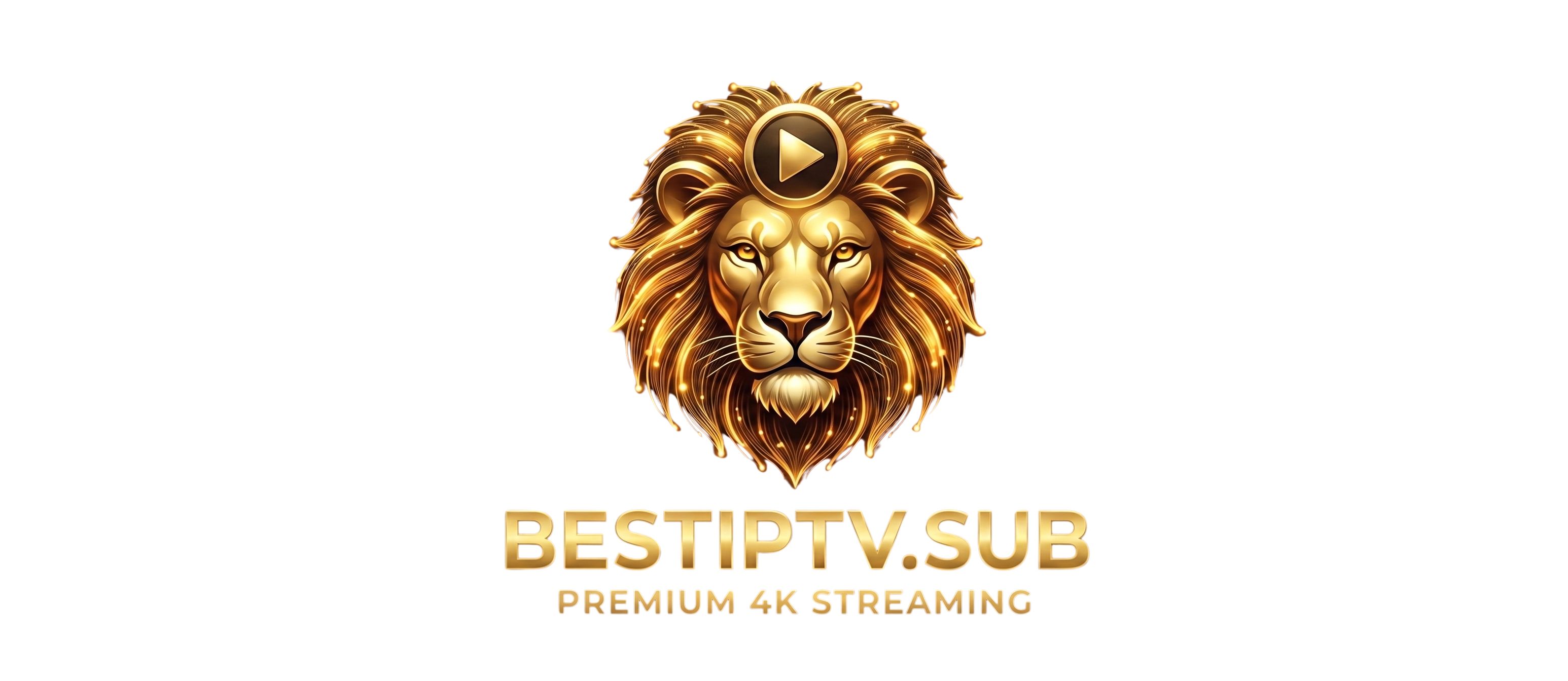 BestIPTVSubscription Logo